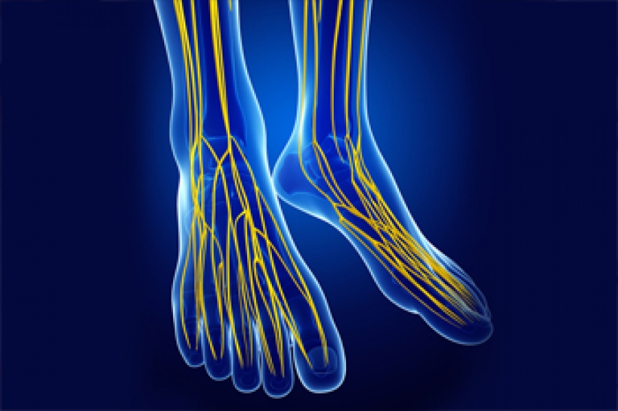 How Peroneal Neuropathy Affects The Feet